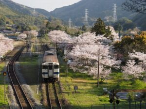 桜と採銅所駅