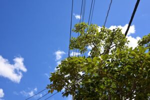 バス停から見上げた空