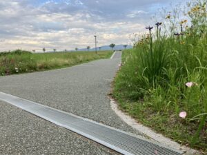 夕方の道路