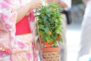 ほおずき市の様子